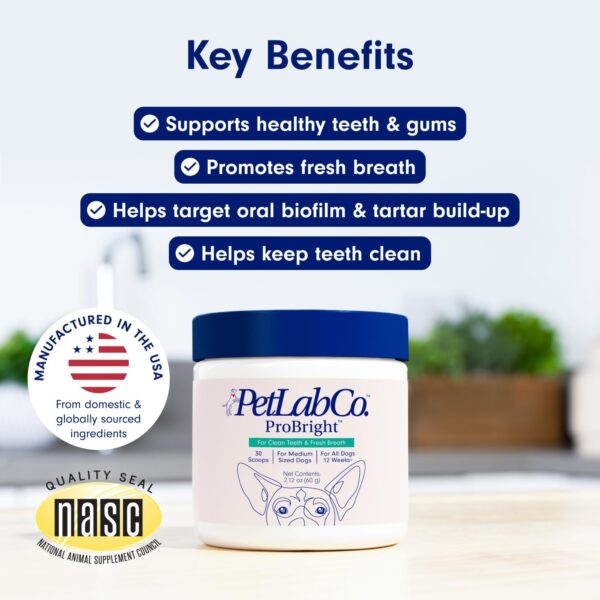 PetLab Co. ProBright Dental Powder